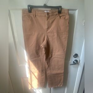 Light Tan Curvy Straight Loft Outlet Jeans